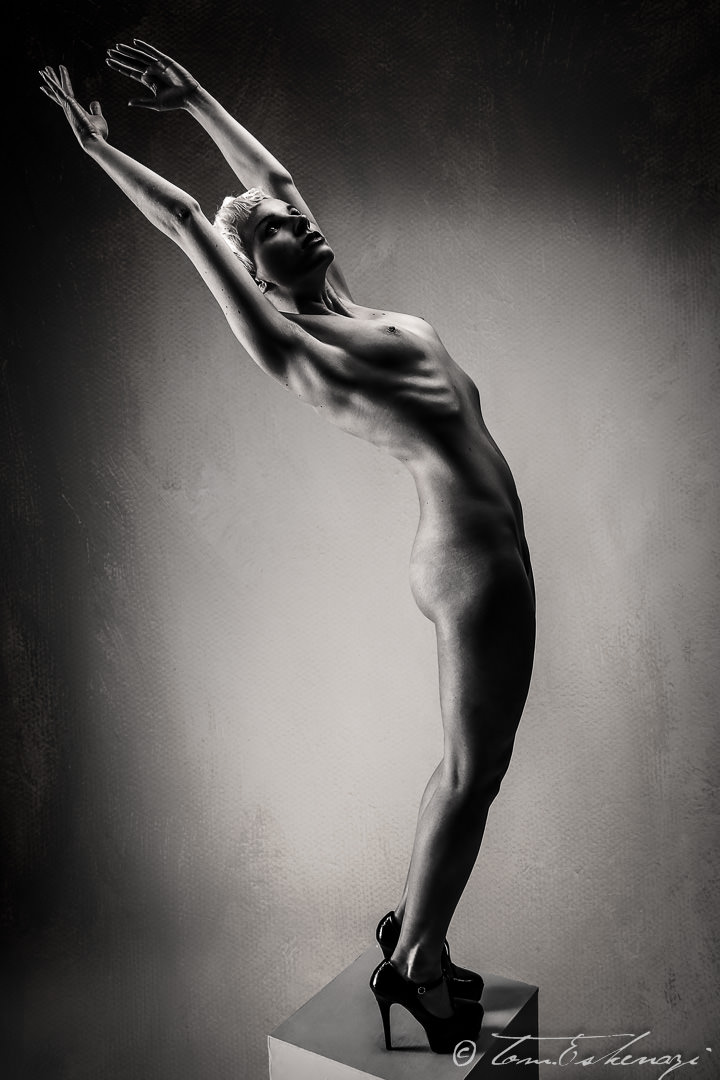 <span class='second-part'>Fashion </span> Art Nude