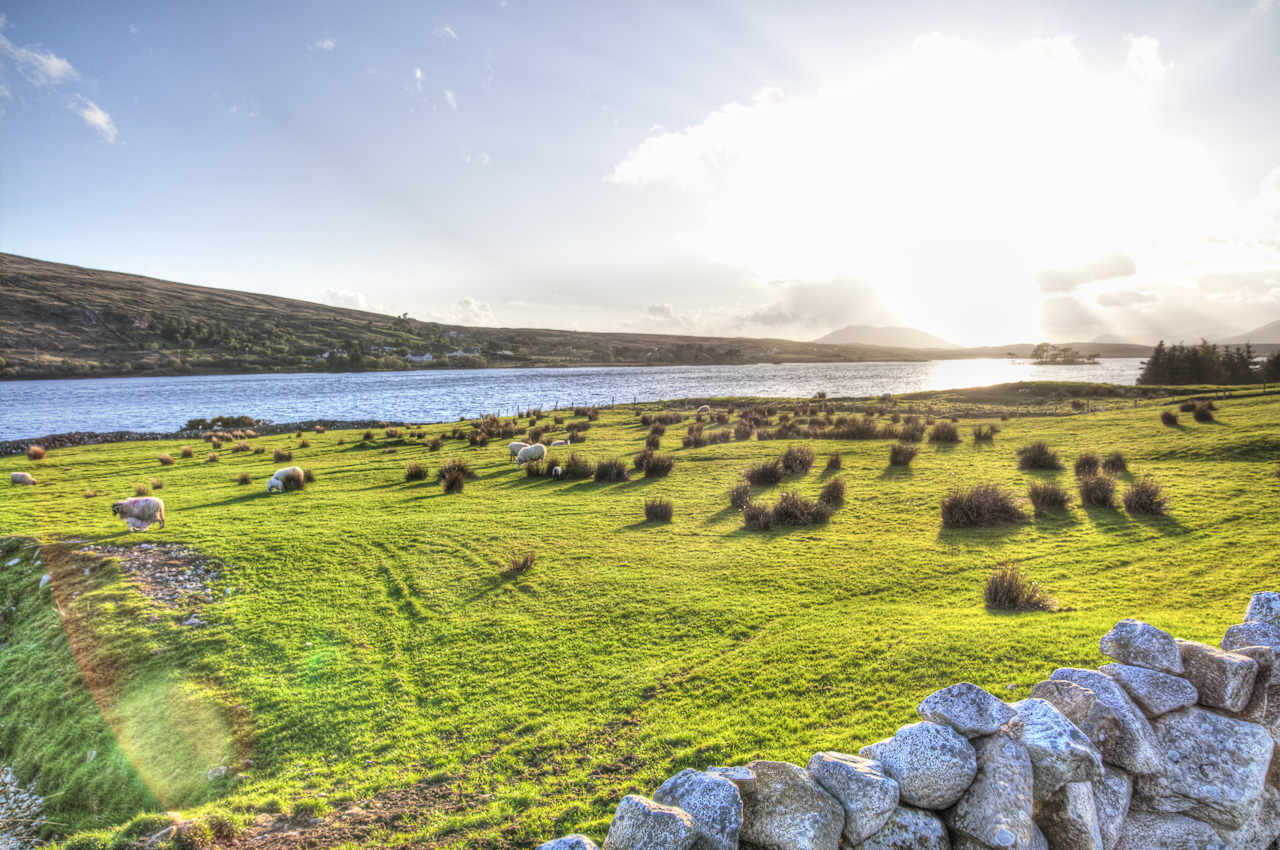 Ireland Green