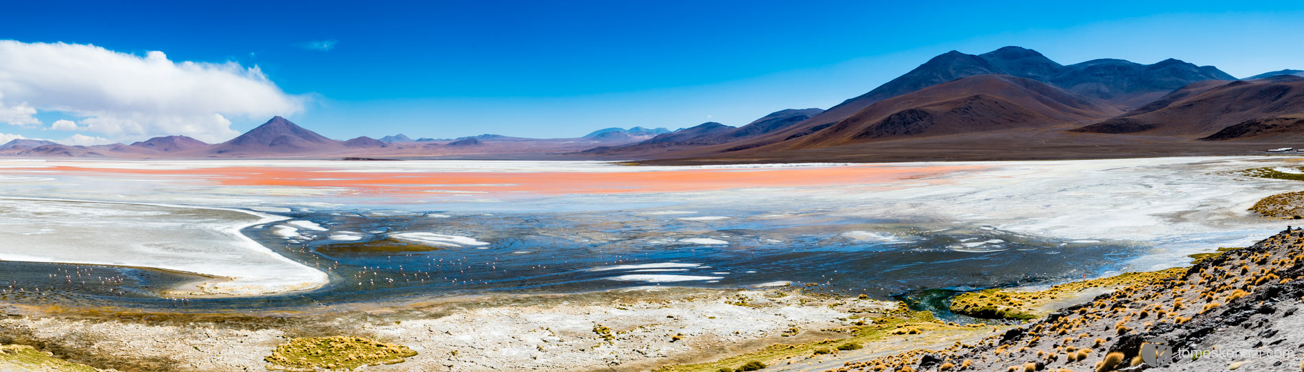 Laguna Colorada, Uyuni/Potosi area, altitude 4280m, Bolivia.